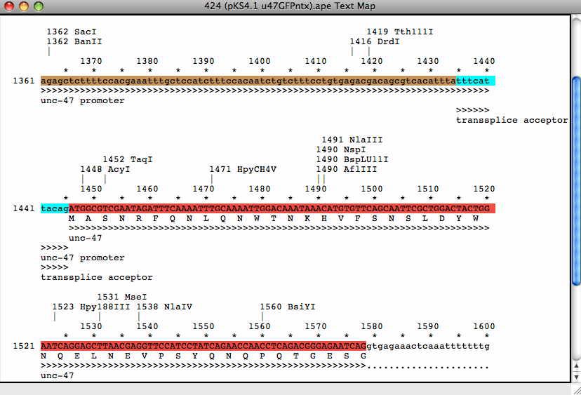 Gene Cloning Software For Mac