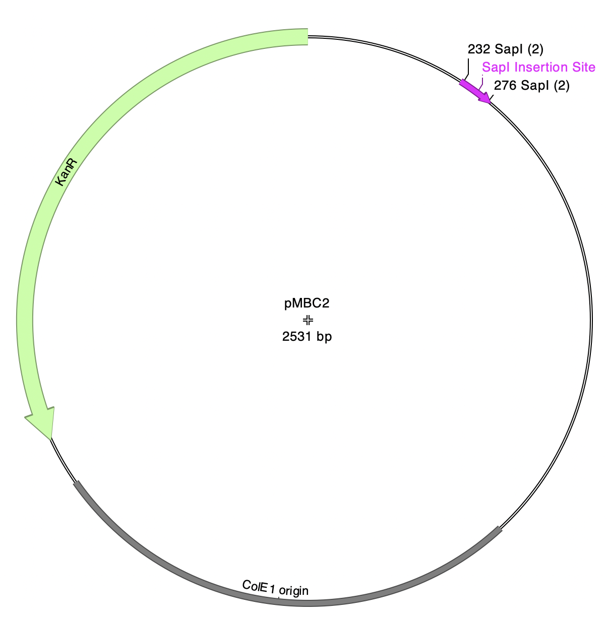 A diagram of a circle

AI-generated content may be incorrect.